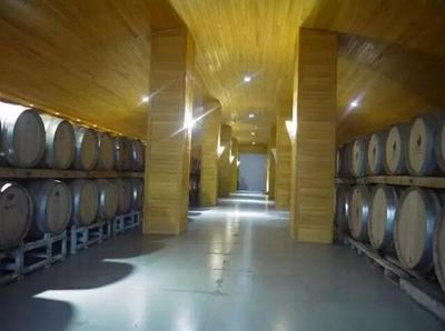 源于情懷,看姜莊主如何在新疆沙漠打造中國最大的&ldquo;休閑農莊&rdquo;! - 今日頭條(www.toutiao.com)