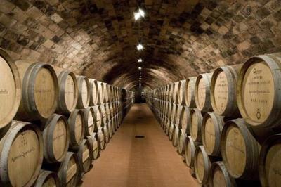 82年的拉菲為何至今仍有售？解析葡萄酒產量與市場流通的奧秘